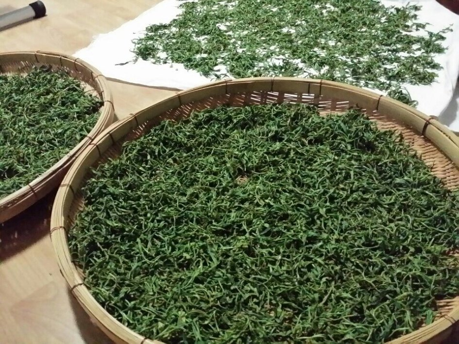 Green Tea (Bulk 1kg)